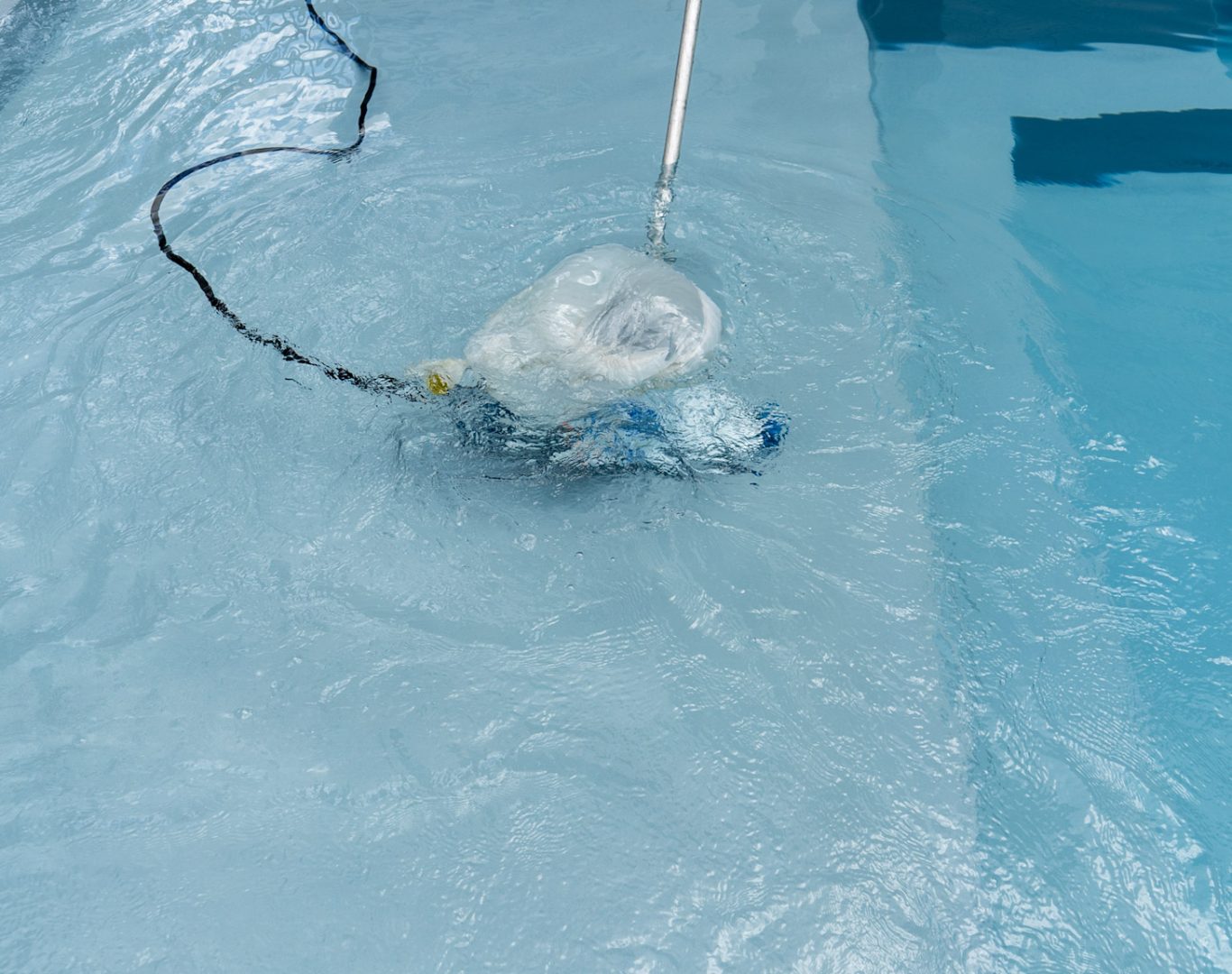 Reliable residential pool services in Short Pump, VA by Fortress Pool Service
